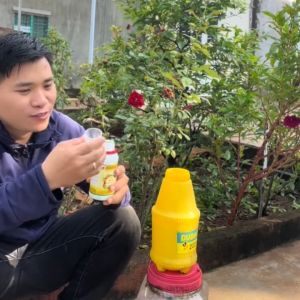 Combo thảo mộc DIỆT SÂU - TRỪ BỆNH hại cây trồng. Sạch nhện đỏ rầy rệp trĩ sương mai rỉ sắt vàng lá. NEEM NANO