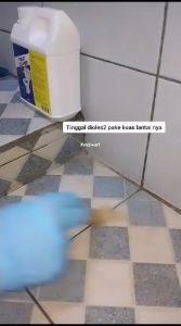 Beli langsung kirim [Cairan Pink/merah] ZENIC Toilet Cleaner pembersih serbaguna membersihkan lantai kamar mandi yang berkerak dengan cepat dan efisien mudah di aplikasikan bisa cod seluruh Indonesia
