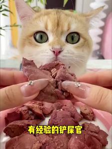 ZHUCHONG | Steamed Fish Oil Chicken Liver High Protein Natural Additive-Free Cat Snacks