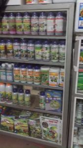 Phân bón hữu cơ Agsea  AA 250ml Giải độc dẫn truyền nhanh tăng sức đề kháng