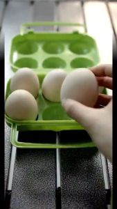 Outdoor Foldable 4 Grid Egg Carton Portable Camping Plastic Pack Eggs Box Picnic Anti-Broken Anti-Pressure Storage Case