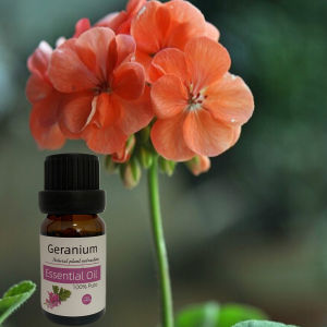 Smart Timed CS-10 Wooden Texture Aromatherapy Diffuser Office Indoor Air Freshener Machine Fragrance Diffuser Calming Stimulating