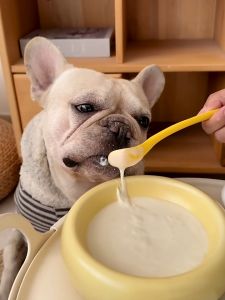 เครื่องคอมพิวเตอร์โยเกิร์ตพร้อมดื่ม สำหรับหมาแมว ไม่มีแลคโตส มีโพรไบโอติก พร้อมปรับสมดุลระบบขับถ่าย พกพาง่าย 55กรัม