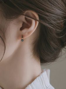 2024 New Arrival 925 Silver Needle Double Diamond Ear Ring Exquisite Small Accessible Luxury Earrings Cold Style Japanese and Korean Style Simple Earrings