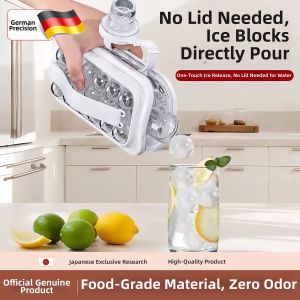 Multipurpose Ice Maker and Storage Mold