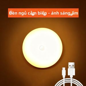 Đèn Ngủ LED Cảm Biến Chuyển Động Có Thể Sạc Lại Bằng USB Đèn Không Dây Cho Tủ Bếp Tủ Quần Áo Cầu Thang Tủ Quần Áo - Thân Nhựa Tròn