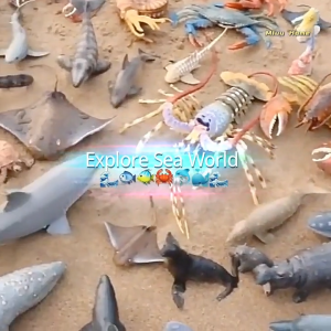 Sea Animal Toys Dolphin Whale Crab Octopus Megalodon Shark Toy Ocean Animals Toys Kid Baby Toys Haiwan Laut Mainan Ikan