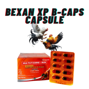 BEXAN XP KAPSUL (1 STRIP) - Multivitamin Obat Ayam