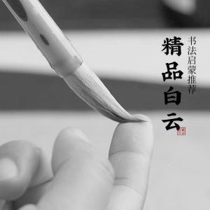 Fu โบราณ Rhyme ตัวอักษรขนาดกลาง Lake Pen ชุดสําหรับผู้ใหญ่และเด็ก เหมาะสําหรับการประดิษฐ์ตัวอักษรและภาพวาดจีน