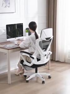 Rarus Minimalist Office Chair Reclining Nap Chair Computer Chair With Footrest Staff Desk Chair Home Sitting Chair