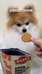 [KYNOS] Cats & Dogs- Rabbit Meat Chips with Pumpkin and Himalayan YC  Natural Hypoallergenic Pet Treats Nutritious Noble Protein