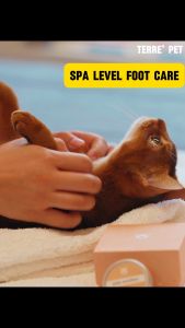 Amo Petric Organic Pet Balm Variety Pack - Calendula Avocado Squalene for Itchy Skin Tear Stains Dry Chappy Nose and Paw Relief