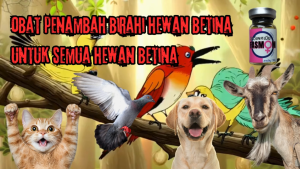 OBAT BIRAHI HEWAN BETINA 5ML PLUS SPUIT FASMON