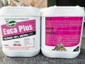 Euca Plus( Hữu cơ nước Thổ Nhĩ Kỳ) FUGO. 