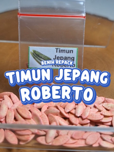 Benih Timun Jepang Roberto 92: Panduan Lengkap