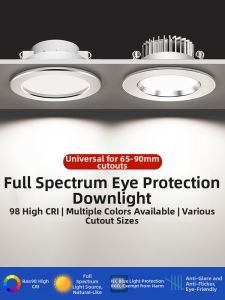 WENWEI | Full Spectrum Color Changing Downlight Recessed Light Fixture