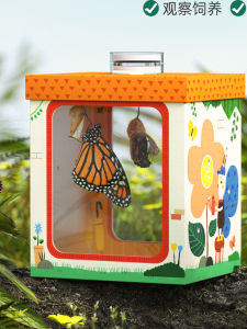 Hộp Nuôi Bướm Hình Con Bướm Có Thể Nở Hộp Quan Sát Hộp Nuôi Côn Trùng Đồ Chơi Khoa Học Cho Trẻ Em Đồ Chơi Thú Cưng Cho Bé Trai Và Bé Gái