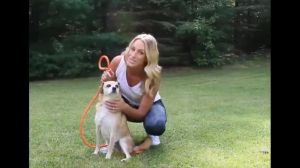 Dog Leash tali ng aso Pet training leash Gabay leash Adjustable with Padded Handle High Quality Dog Rope