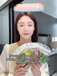 🇸🇬 Ready Stock Refrigerator Deodorizer 120g – Fresh Fruity Scent | Activated Carbon Odor Eliminator