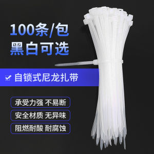 High Quality Nylon Cable Tie /自锁式尼龙扎带 (1 pack - 100 pcs)