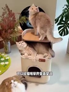 HOOPET | Non-Space-Occupying Four-Season Use Cat House Sisal
