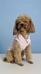 PS-570 เสื้อโปโล เสื้อสัตว์เลี้ยง สุนัข หมา แมว ขนาดเล็ก ราคาถูก พร้อมส่ง