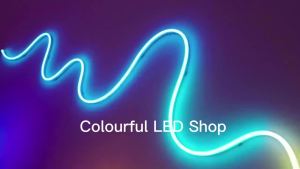RGBIC Neon LED Strip 5V USB WS2812B 1-5m Neon Light Strip with Bluetooth App and Remote for DIY Neon Deocoration Lighting