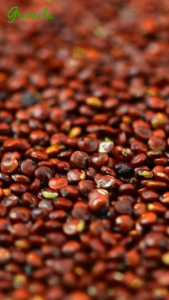 Greenola Organic Red Quinoa (Bulk) 5 Kgs
