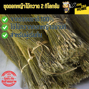 ชุดดอกหญ้า 2 กิโลกรัม ดอกหญ้าไม้กวาด ดอกหญ้า ดอกกง เกรด AAA พรีเมียม สำหรับงานฝีมือ ใช้ร่วมกับเชือกถักไม้กวาดได้ สำหรับมือใหม่ ส่งทั่วไทย Zogzaghome