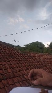 Pisau Gardening Multifungsi Per Tua - Serut Bambu & Pisau Stek Tanaman dengan Snek Ujung Tegak