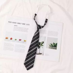 JIFANPAUL | Burgundy Stripes School Style Necktie