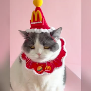 Bộ đồ dành cho thú cưng mũ và yếm nền đỏ Giáng sinh