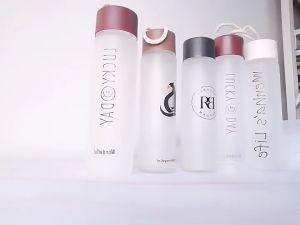 HomiesTrends 400ml Frosted Color Drinkwares Matte Glass Water Bottle