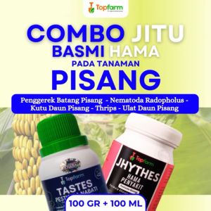 Insektisida Topfarm: Solusi Hama & Penyakit Pohon Pisang