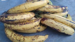 pisang tanduk madu super asli cianjur selatan 1kg