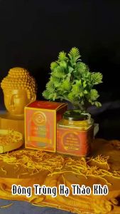 Đông Trùng Hạ Thảo Khô Sấy Thăng Hoa Thảo Mộc Vương Hộp 25gr ( Tặng kèm túi xách hộp đựng đi biếu tặng )