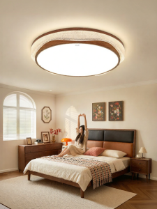 HUIPU ZHAOMING | Smart Eye-Protective French Antique Style Ceiling Lamp