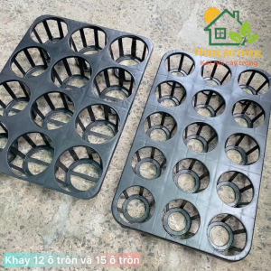 CNVN - Set 2 khay nhựa 12/15 ô tròn chuyên chứa chậu sen đá giò lan - xem trong mô tả