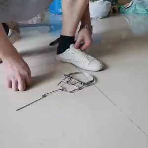 Jebakan Tikus Kawat Besi Jebakan Tikus Perangkap Reusable Jebakan Tikus Musang Tangkap
