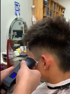 Electrolux Professional Hair Clipper Razor Electric Clipper Household Electric Hair Clipper Electric MenS Dedicated Self-Hair Cutting Device 理发器