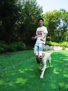 Muncung anjing【100% Breathable】Dog muzzle dog mouth cover   Anti-bite Mouth Guard Pet Supplies Anti Bark Adjustable Training 狗嘴套