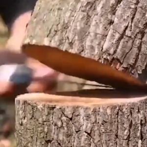 Klik-Beli Gergaji Pisau Lipat Perkakas Pemotong Pohon Kayu Dahan Portable Folding Saw Stainless