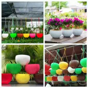 Chậu nhựa treo trồng cây hoa sen đá nhiều màu sắc lựa chọn tăng thẩm mĩ cho khu vườn của bạn