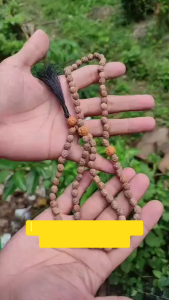 Tasbih Bidara Sidr 99 Butir & 33 Butir Media Ruqyah & Pengusir Jin