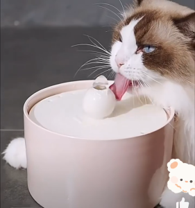 Smart pet water dispenser silent anti-dry-burning intelligent power-off cat dog Ceramic Fountain Filter autoCirculating