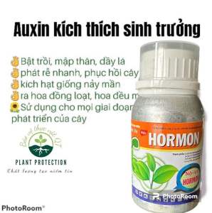 Chai 100ml Ausin Hormon kích thích sinh trưởng cực mạnh . 1 chai pha 1 phi 100lít
