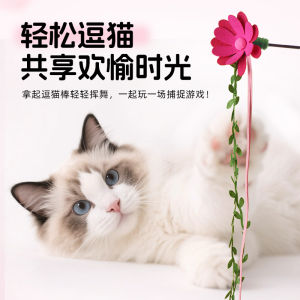 Cat Toy Interactive Teaser Stick Bell Equipped Chew Resistant Fun for Kittens Noise Making Design Small Cat Toys Pet Supplies