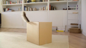 PURINA ONE® Urinary Care Chicken - Dry Cat Food 2.7kg