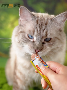【SG Seller】 10pcs*15g Cat Treats Cat strips Nutritousand Hydratingr Cat Food 猫零食猫条