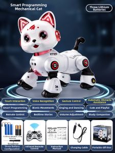 BEI JESS | Educational Walking Sound Robot Toy